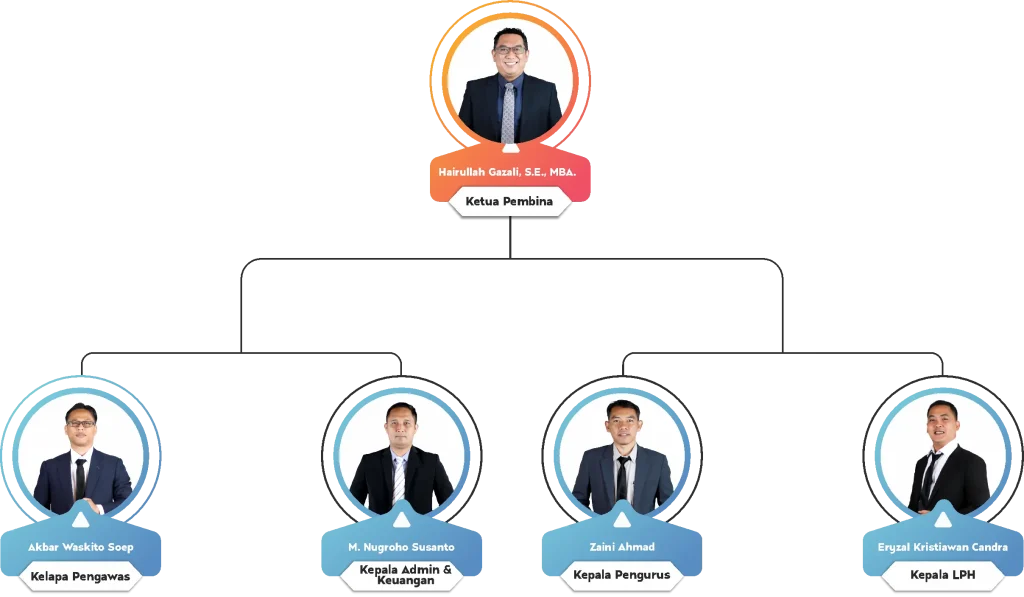 struktur organisai